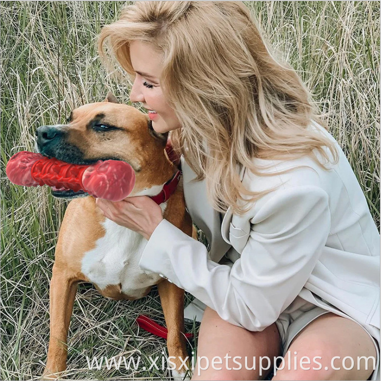 Pet dog toy nylon rubber bone interactive gnawing rubber chew toy